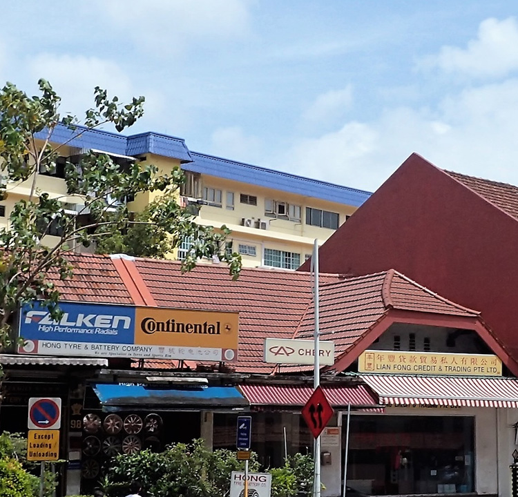 Characteristics of the Issue of Japanese Military Sexual Slavery in Singapore}